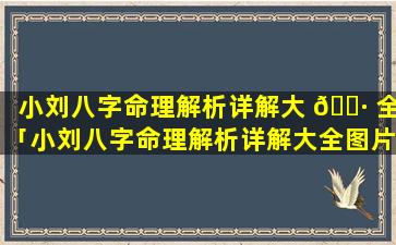 小刘八字命理解析详解大 🌷 全「小刘八字命理解析详解大全图片」